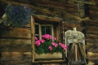 Ausschnitt eines alten Holzhauses mit Blumen an den Fenstern