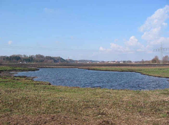 Teich inmitten einer langgezogenen Wiesenfläche