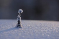 Schneebedeckte Fläche