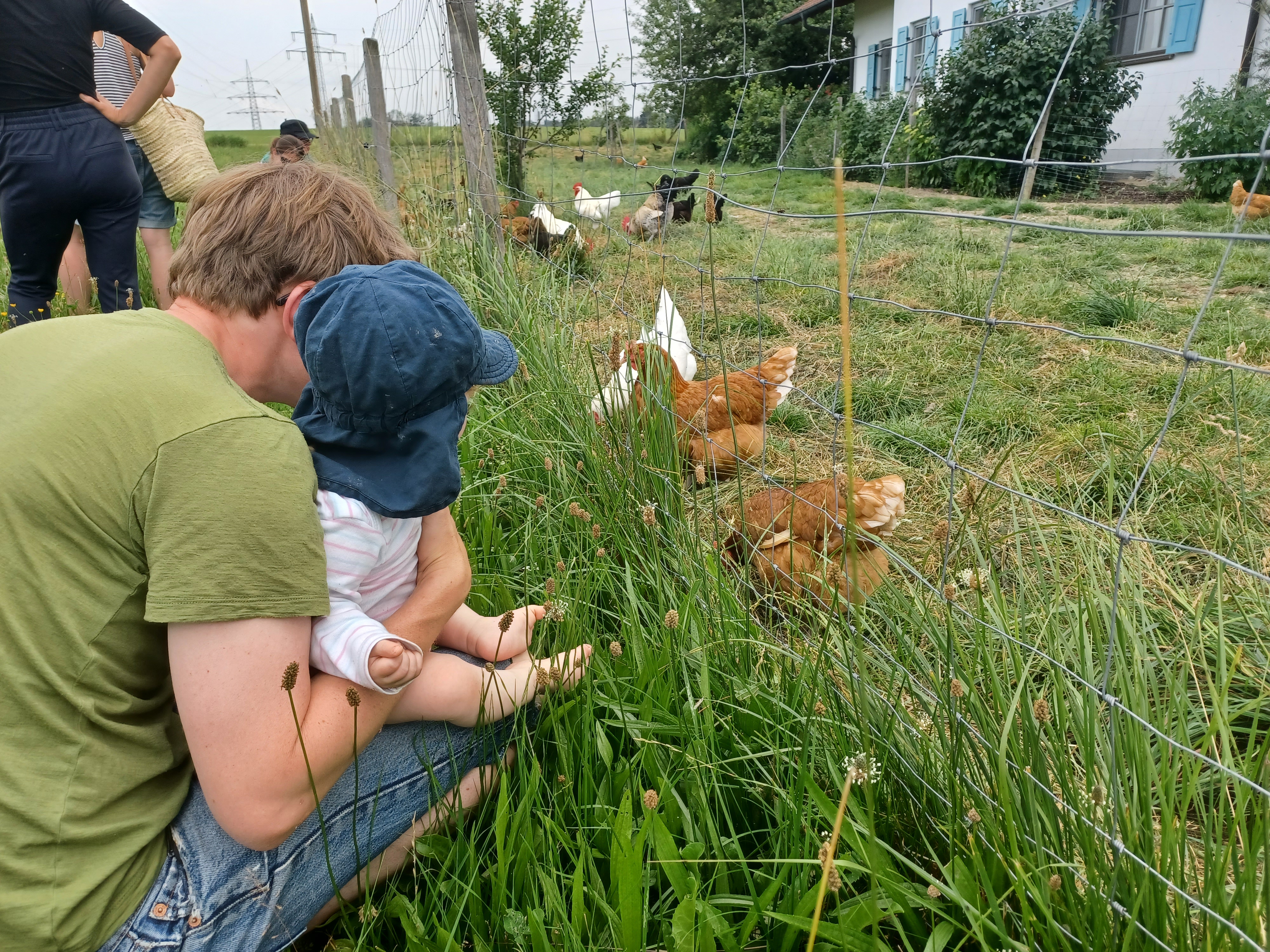 Förderung von Kleinprojekten  in der Öko-Modellregion Inn-Salzach -2. Aufruf zum Verfügungsrahmen Ökoprojekte startet