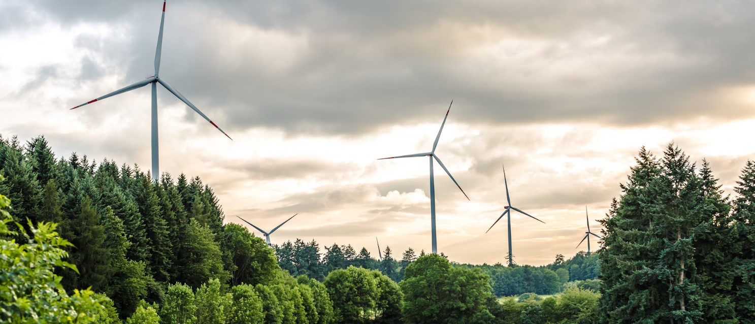 Windräder mit Wald